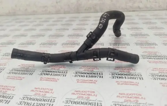 Volkswagen PASSAT B5.5 Engine coolant pipe/hose