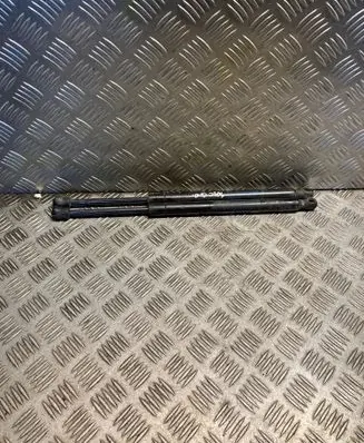 Chrysler 300 - 300C Tailgate/trunk strut/damper 04589626AA