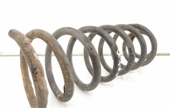 Suzuki Grand Vitara II Rear coil spring