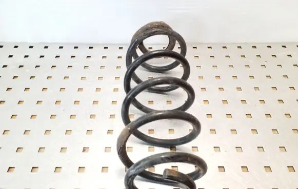 Volkswagen New Beetle Rear coil spring
