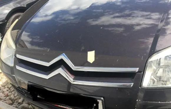 Citroen C5 Engine cover (trim)