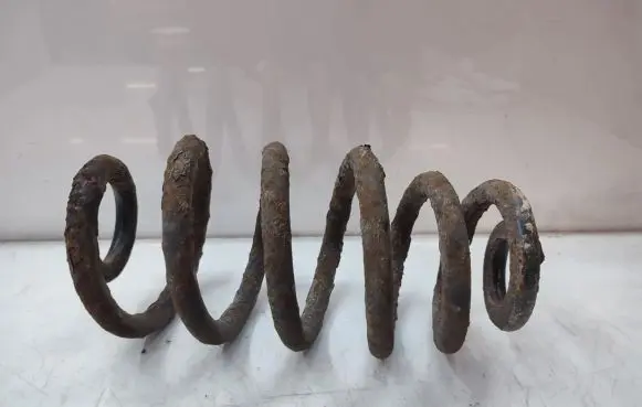 Rear coil spring