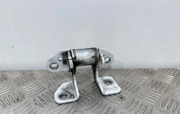 Rear door lower hinge