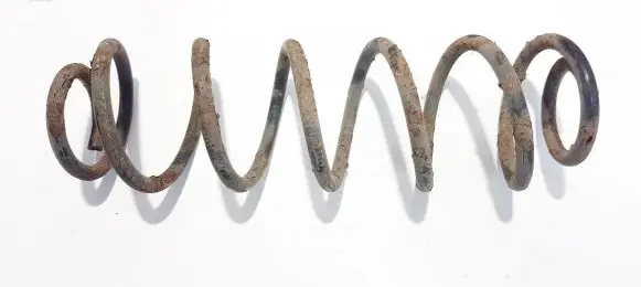 Volkswagen Golf IV Rear coil spring