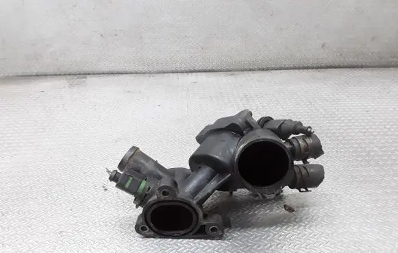 Thermostat/thermostat housing