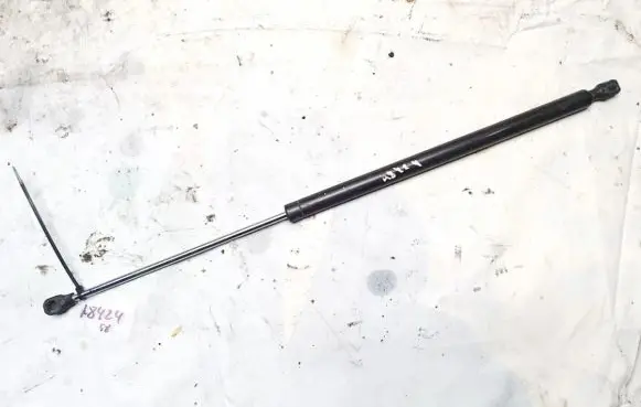 Peugeot 807 Tailgate/trunk strut/damper 1492653080