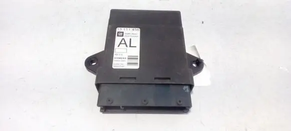 Opel Vectra C Door control unit/module 13111456 13111456AL 5WK46001