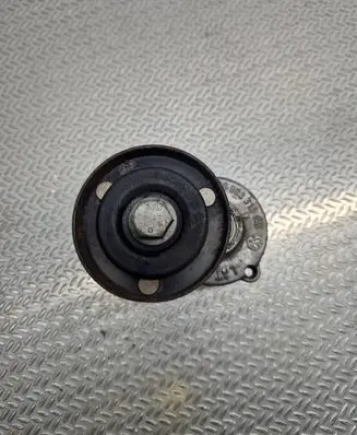Seat Alhambra (Mk1) Generator/alternator belt tensioner 038903315
