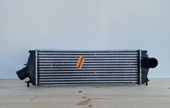 Renault Trafic II (X83) Intercooler radiator autoluxparts