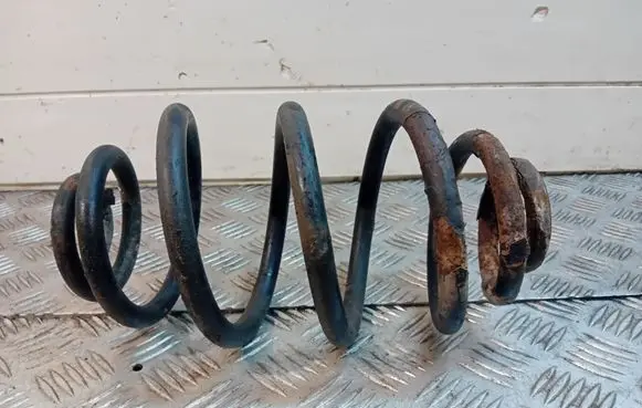 Rear coil spring