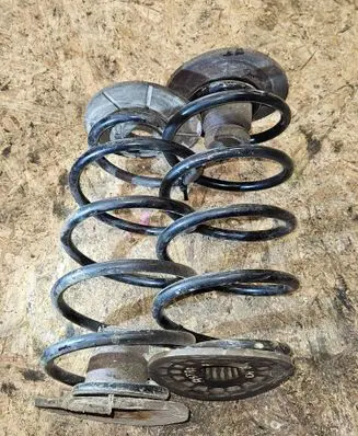 Rear coil spring
