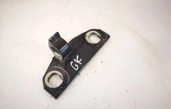 Volvo V70 Rear door lower hinge 