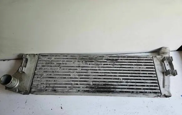 Renault Megane II Intercooler radiator 8200468425 0045900 D781