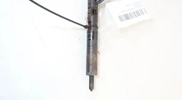 Renault Kangoo I Fuel injector EJBR01801A