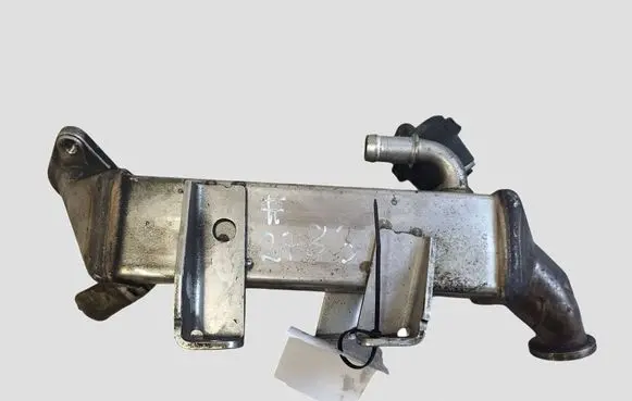 Nissan Qashqai+2 EGR valve cooler 8200719993D H8200620695