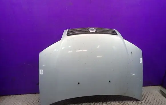 Fiat Punto (188) Engine bonnet/hood 