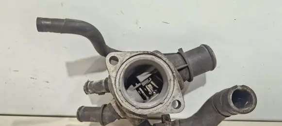 Thermostat/thermostat housing