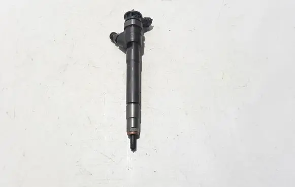 Renault Trafic III (X82) Fuel injector 0445110546