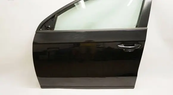 Volkswagen PASSAT B7 Front door