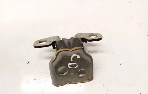 Dacia Sandero Rear door lower hinge 