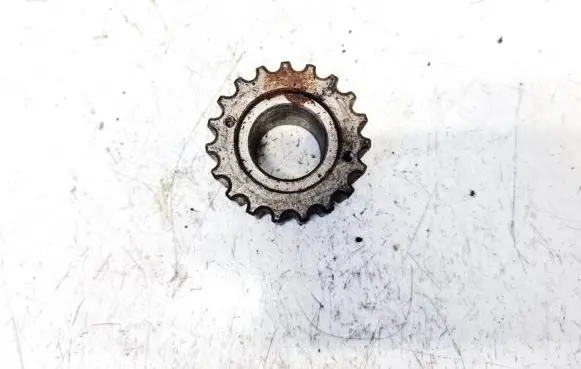 Renault Laguna II Crankshaft pulley 022229