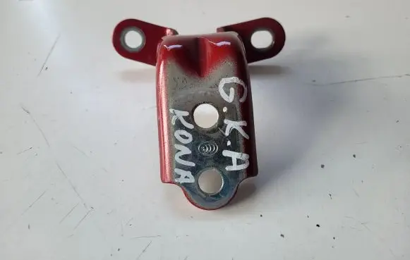 Hyundai Kona I Rear door lower hinge