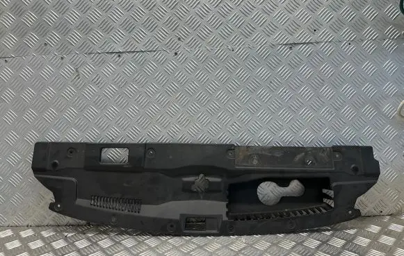 Engine bonnet/hood lock trim molding