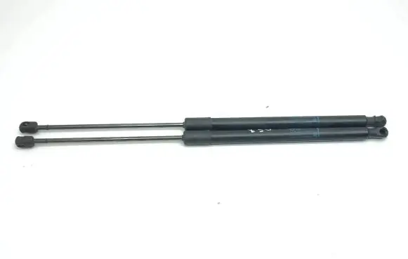 Opel Insignia B Tailgate/trunk strut/damper 39169064 3095380445N