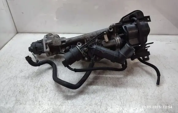 EGR valve