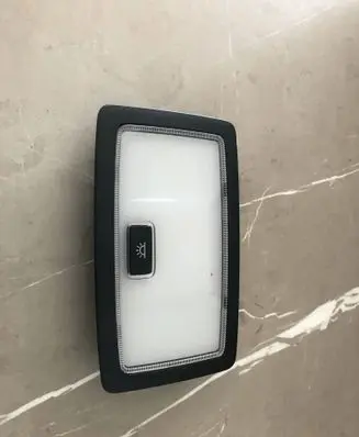 Lexus NX Front seat light 20150330