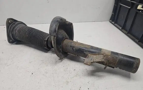 Ford Focus C-MAX Front shock absorber/damper 1234