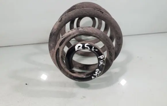Rear coil spring