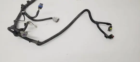 Ligier JS 50 Wiring harness 