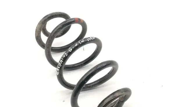 Nissan Qashqai Rear coil spring