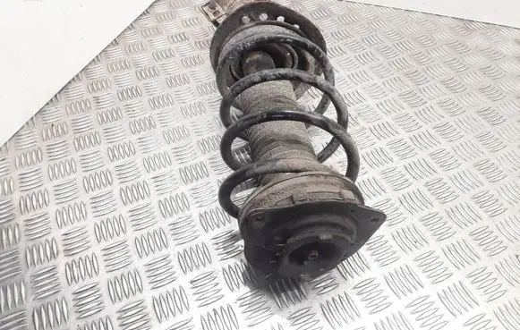 Nissan Qashqai Front shock absorber with coil spring 54302JD03A 824903006321