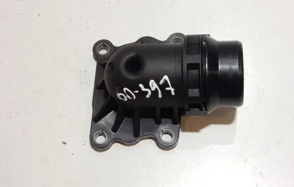 Thermostat/thermostat housing