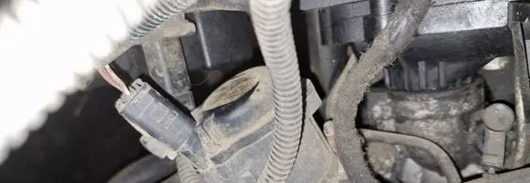 EGR valve