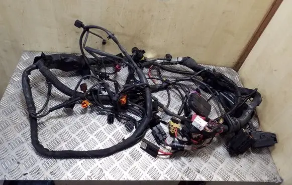 Engine installation wiring loom