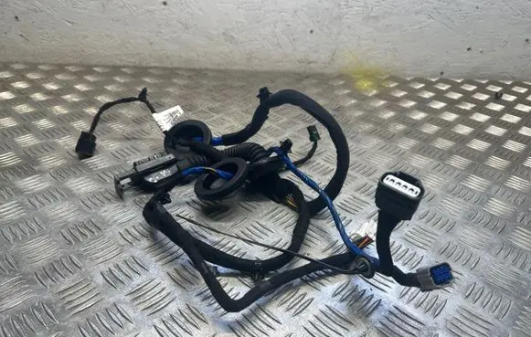 KIA EV6 Rear door wiring loom 91620 CV520A