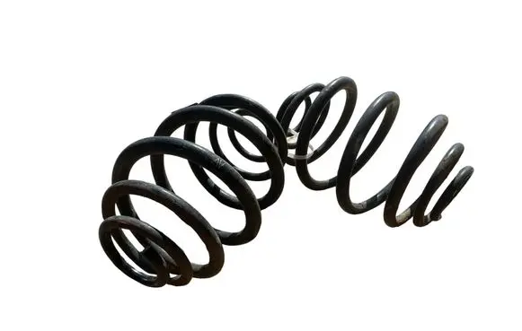Rear coil spring