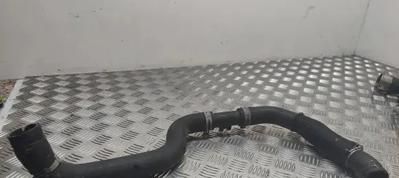 Nissan Juke I F15 Engine coolant pipe/hose