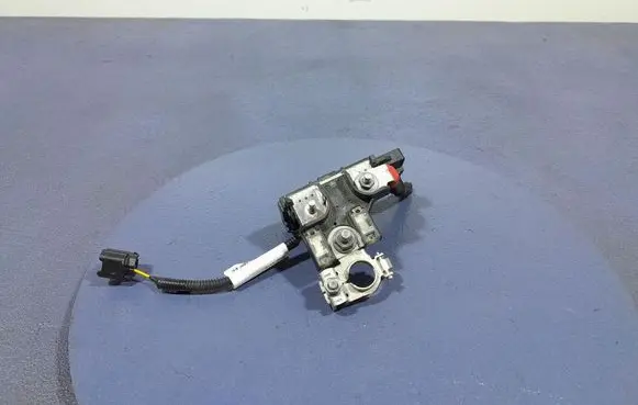 Renault Captur Other wiring loom 2D0049093P