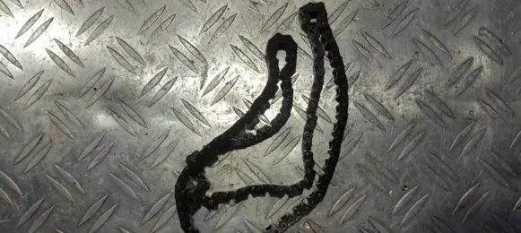 Honda Jazz Timing chain (engine) 