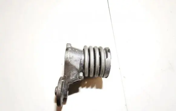 Volkswagen Fox Generator/alternator belt tensioner F23848108