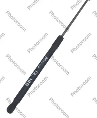 Renault Megane III Tailgate/trunk strut/damper 844300009R