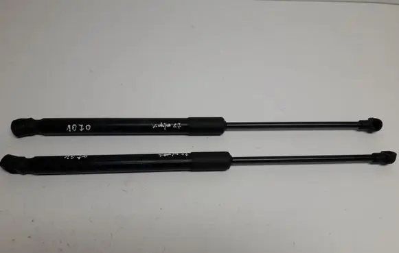Renault Kadjar Tailgate/trunk strut/damper 904516026R