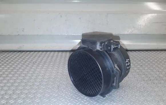 Hyundai Santa Fe Mass air flow meter 