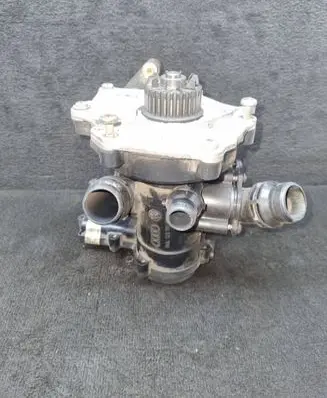 Thermostat/thermostat housing