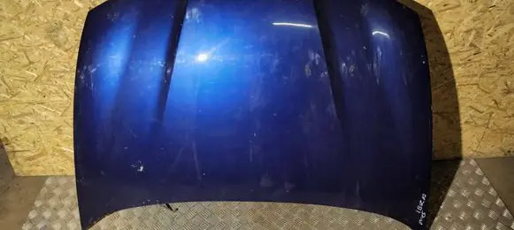 Engine bonnet/hood
