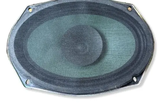 Dodge Charger Front door speaker 05091019AB